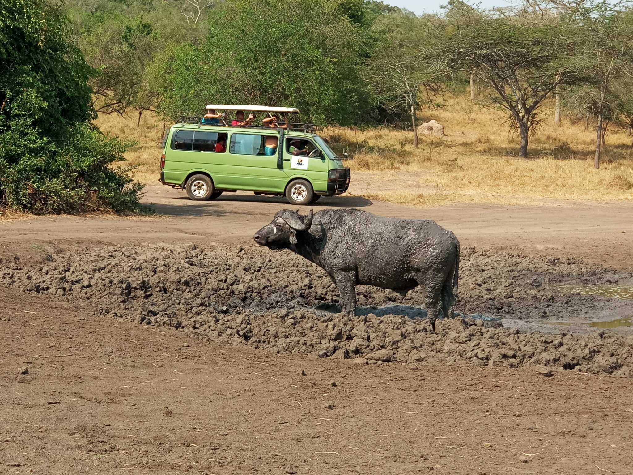 The Best Short Safaris In Uganda Pamoja Tours And Travel