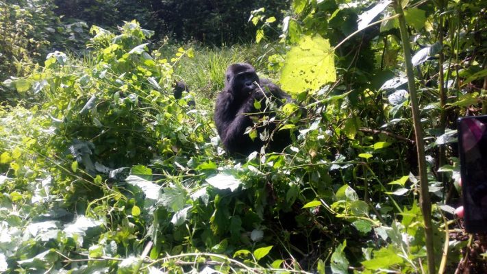 Buhoma after gorilla trekking activities