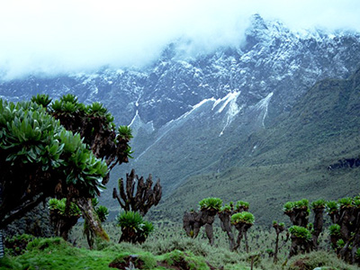 Rwenzori Mountains national park