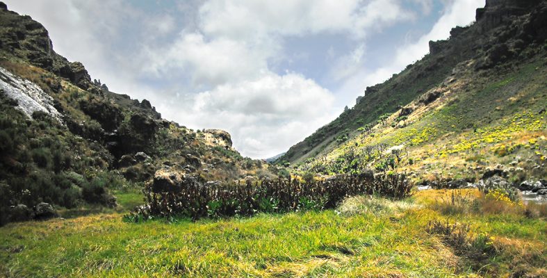 Mount Elgon National Park