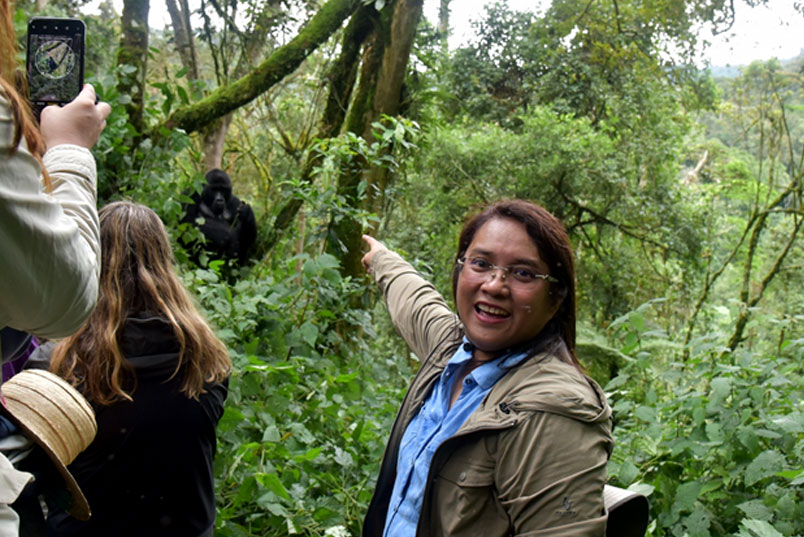 Gorilla Trekking Guide, Everything you need to know about gorilla tracking