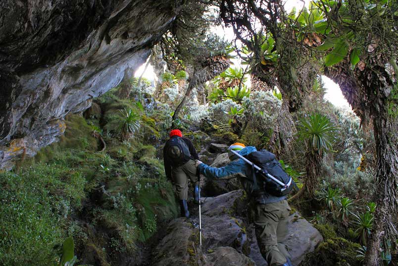 About Mount Elgon Hiking Safari