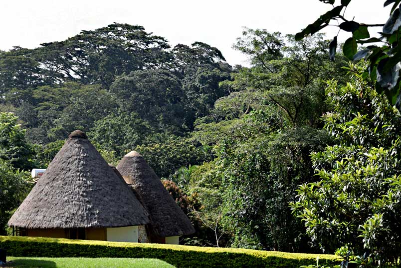 Kibale Guest Cottages