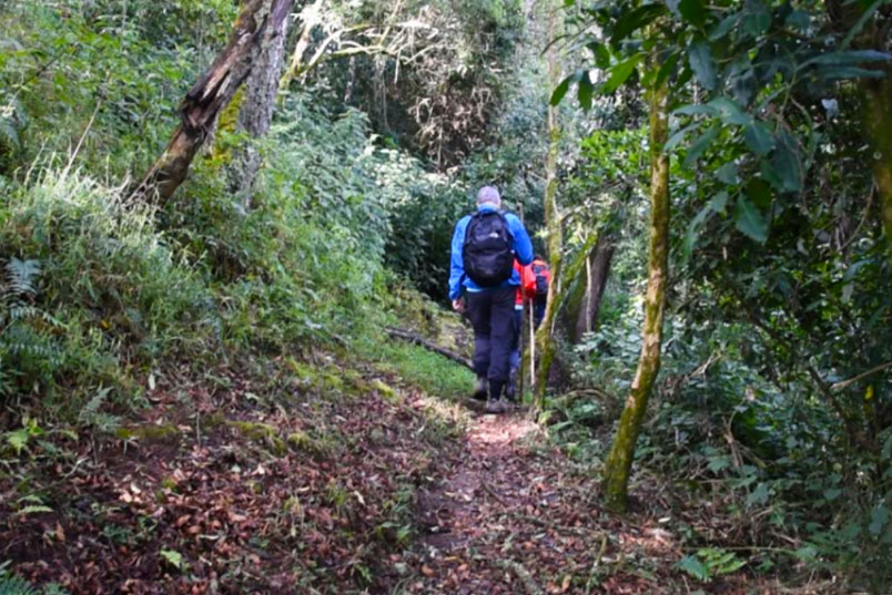 Luxury things to do in Bwindi national park