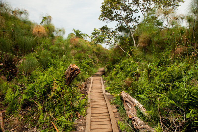 Bigodi Wetland Sanctuary