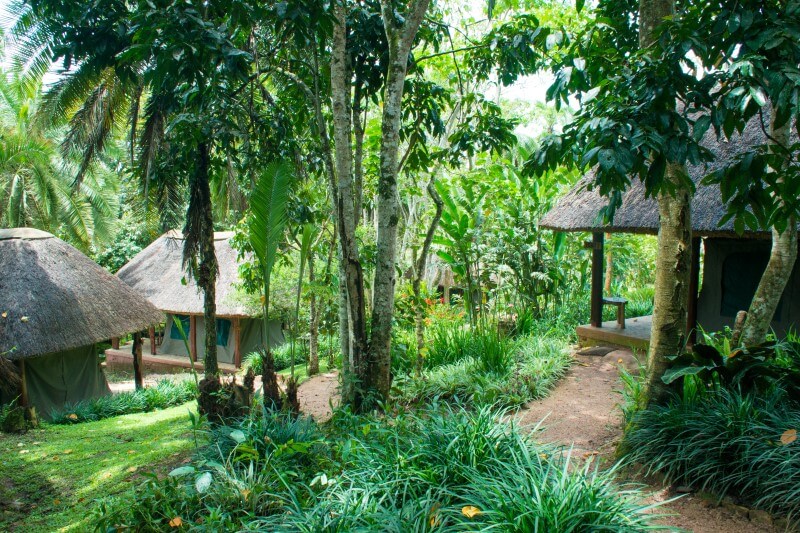 Mid-range Accommodation in Kibale Forest National Park