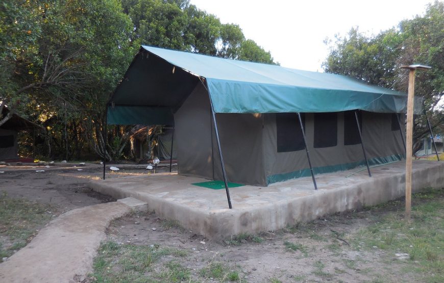 Budget accommodation in Masai Mara National Reserve