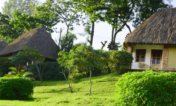 Budget Accommodation for Kibale National Park