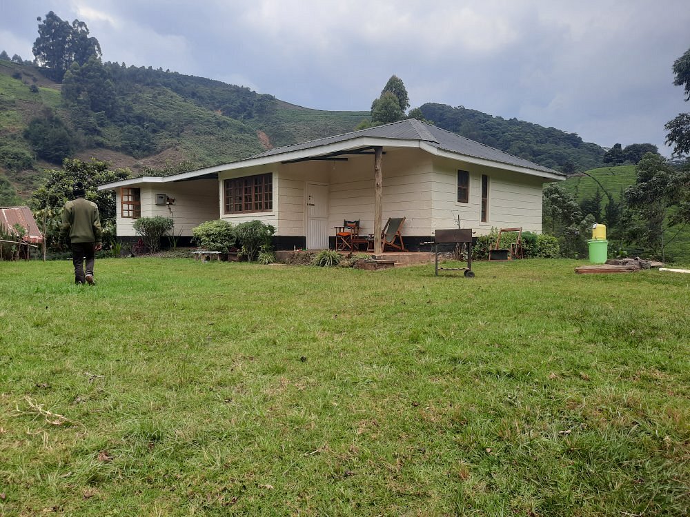 Kimakia Tea cottages