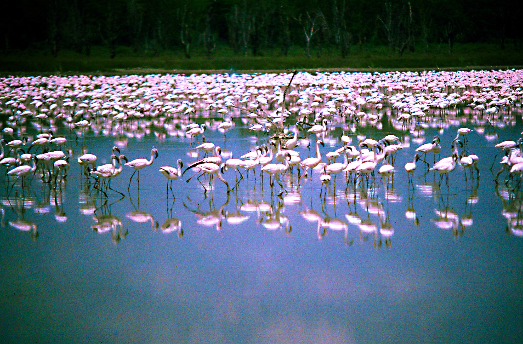 Central island national park 