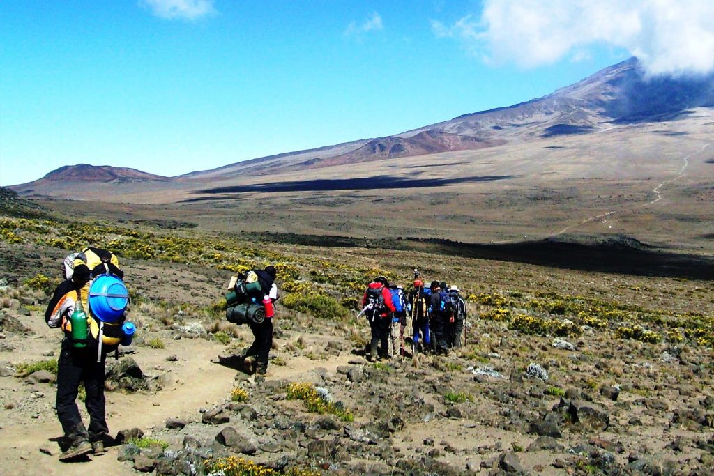 8 Days Mount Kilimanjaro-Rongai Route