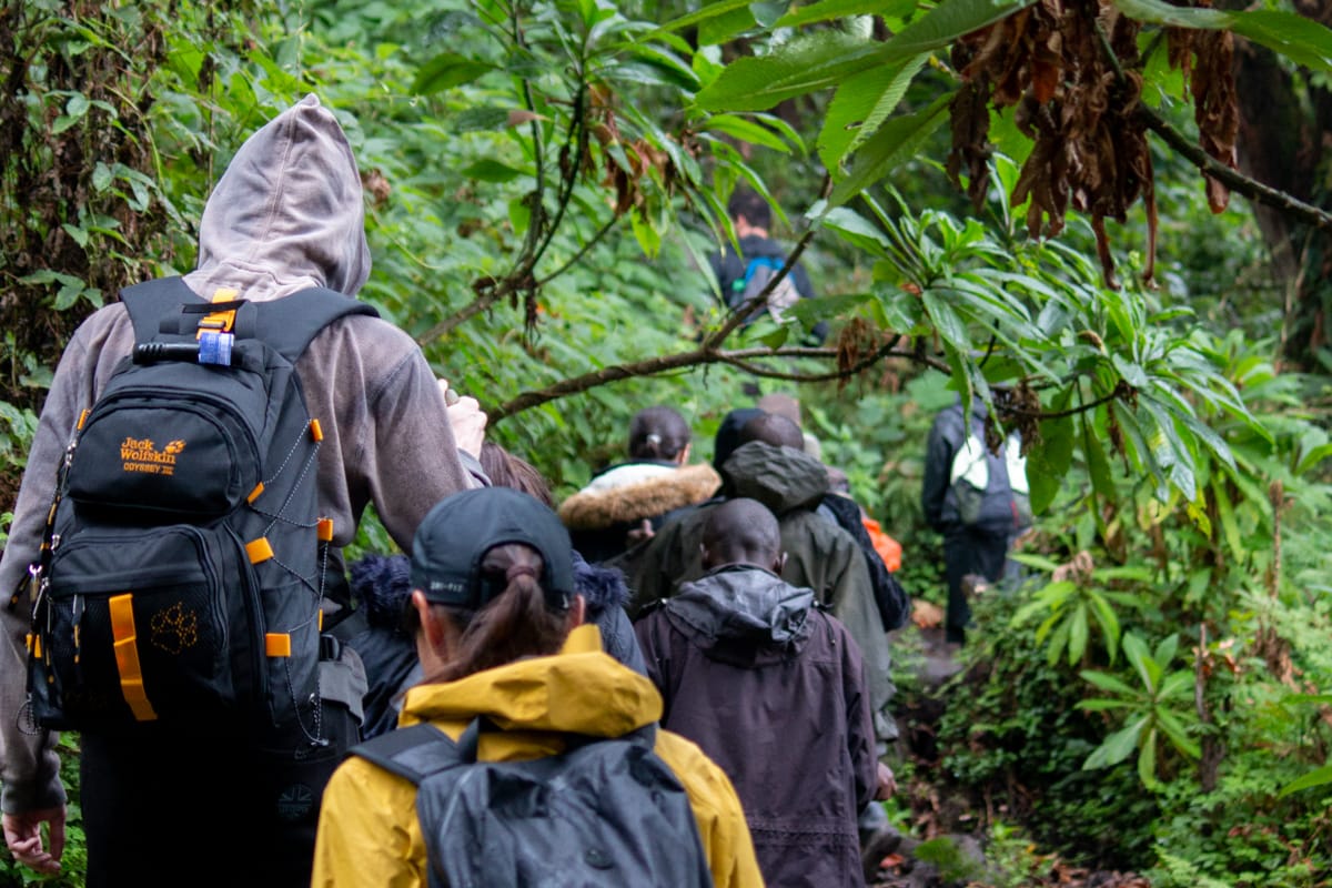 Hiking Mount Bisoke in Rwanda