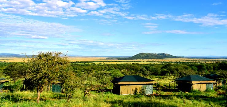 Domel Wilderness Camp