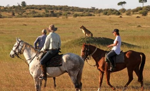 Activities and attractions in Masai Mara National Reserve