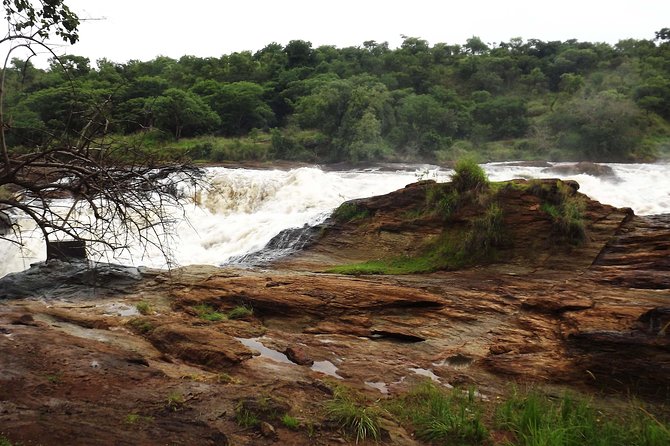 Top Of The Falls-Murchison Falls National Park