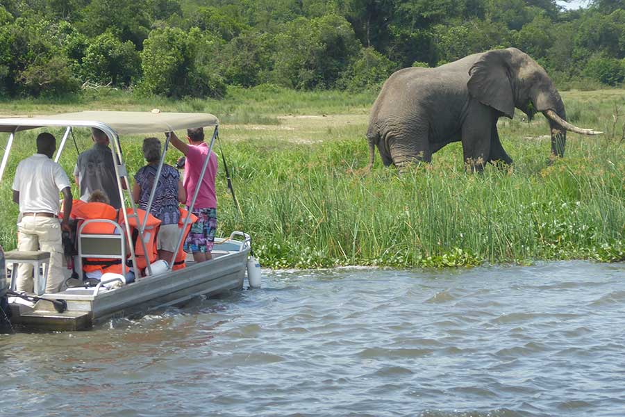 How Much Can a Ugandan Safari Cost?