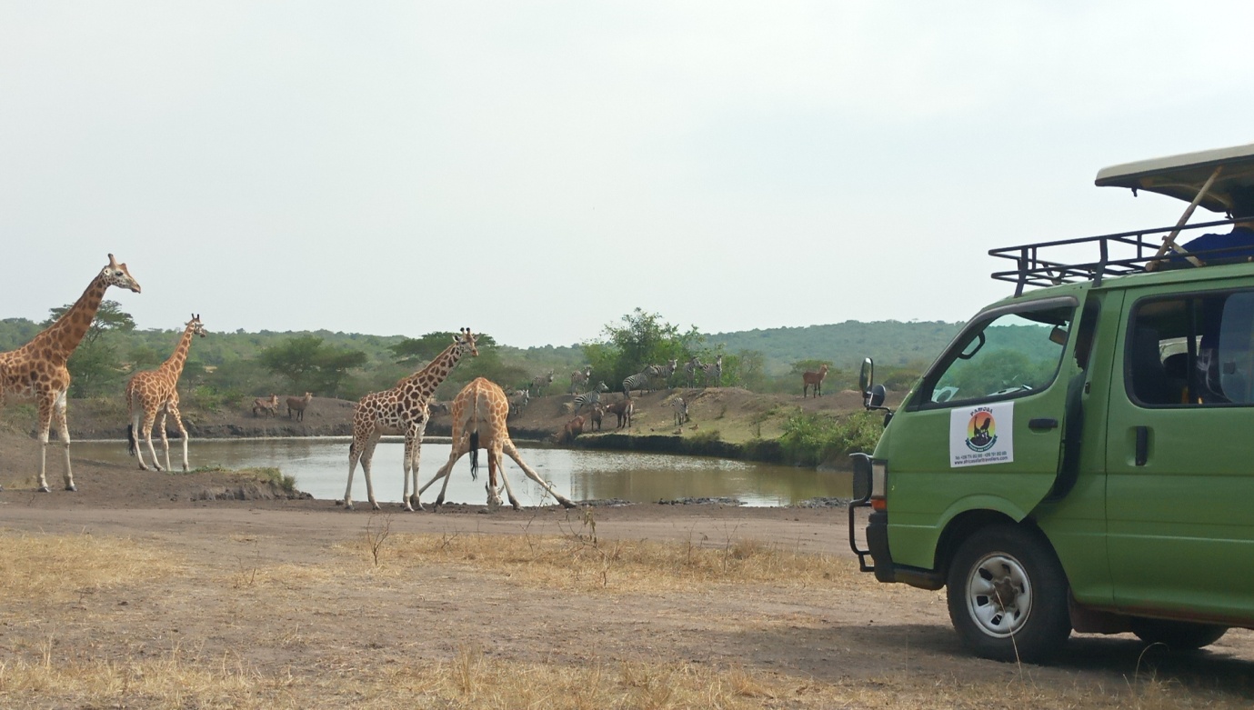 Uganda wildlife tours for a quick adventure