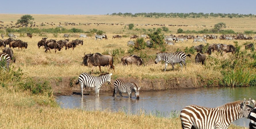 Unforgettable Kenya Safaris | Kenya tours | Kenya trips