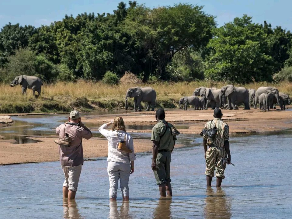 4-day Kenya wildlife safari