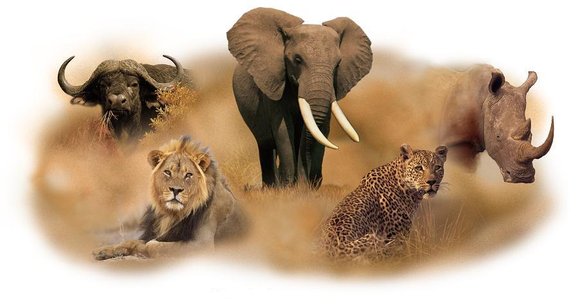 6-day Big 5 safari in Kenya