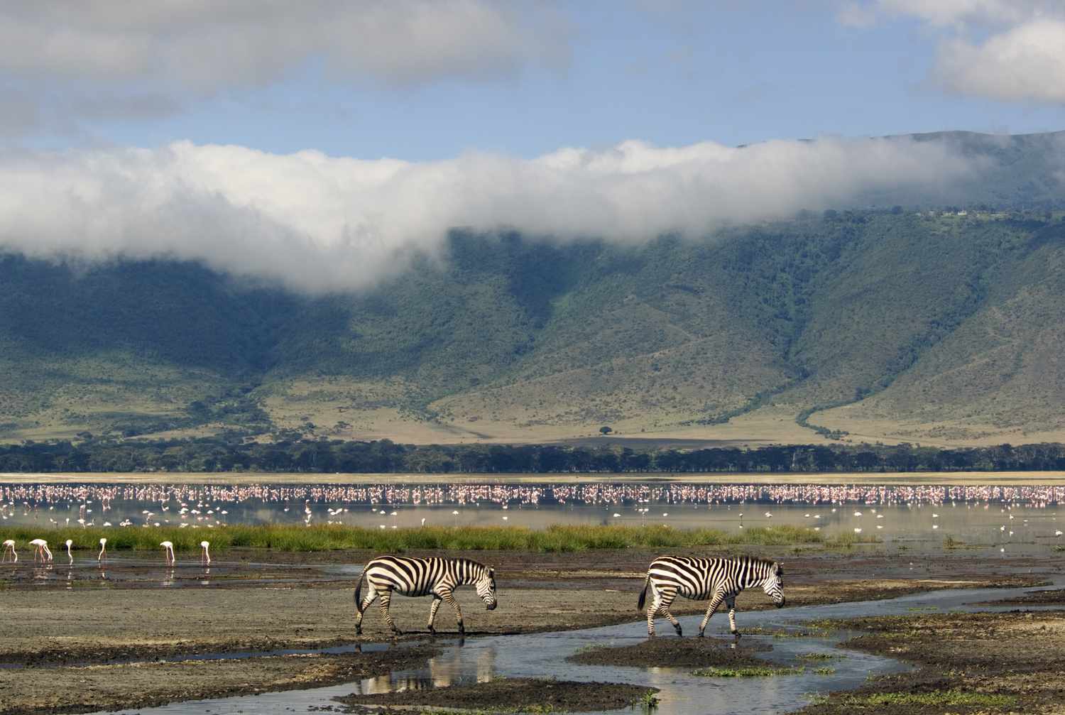 2-Day Tanzania thrilling safari adventure