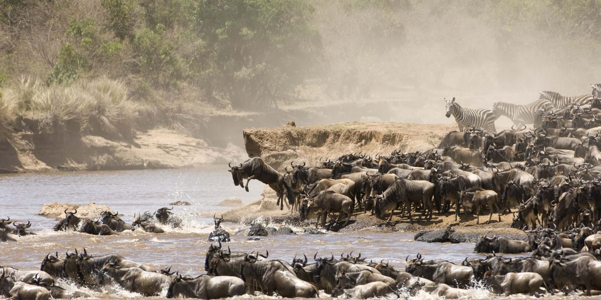 A Wildlife Safari Adventure in Kenya 2024