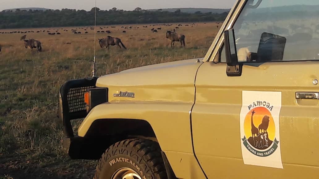 A guide to a Luxury Safari in Serengeti National Park