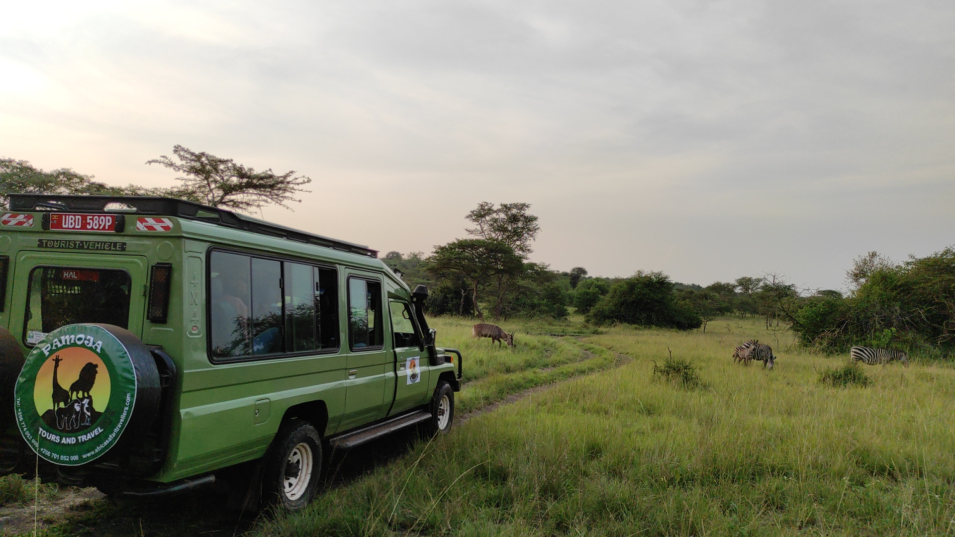 What to expect on your luxury safari in Rwanda and Uganda