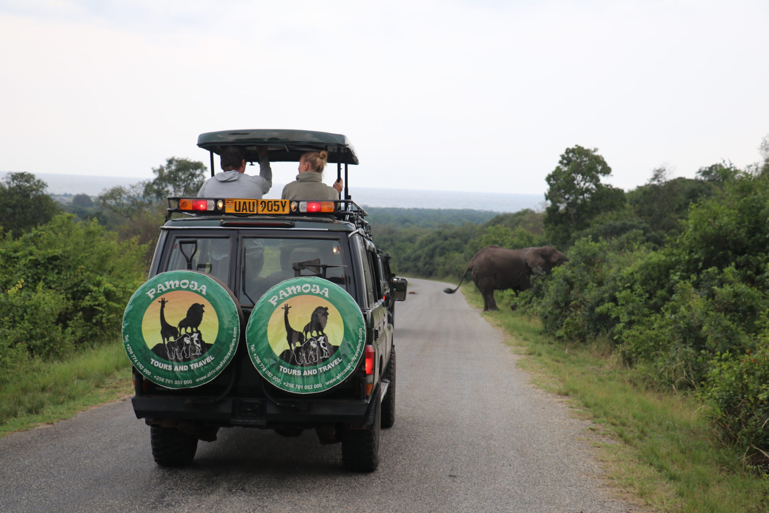 A Luxurious Honeymoon Safari in the Heart of Uganda | Crafting the Perfect Honeymoon Safari
