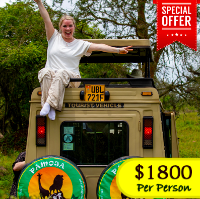 6-Day-Budget-Friendly-wildlife-safari-and-Gorilla-Trekking-Tour