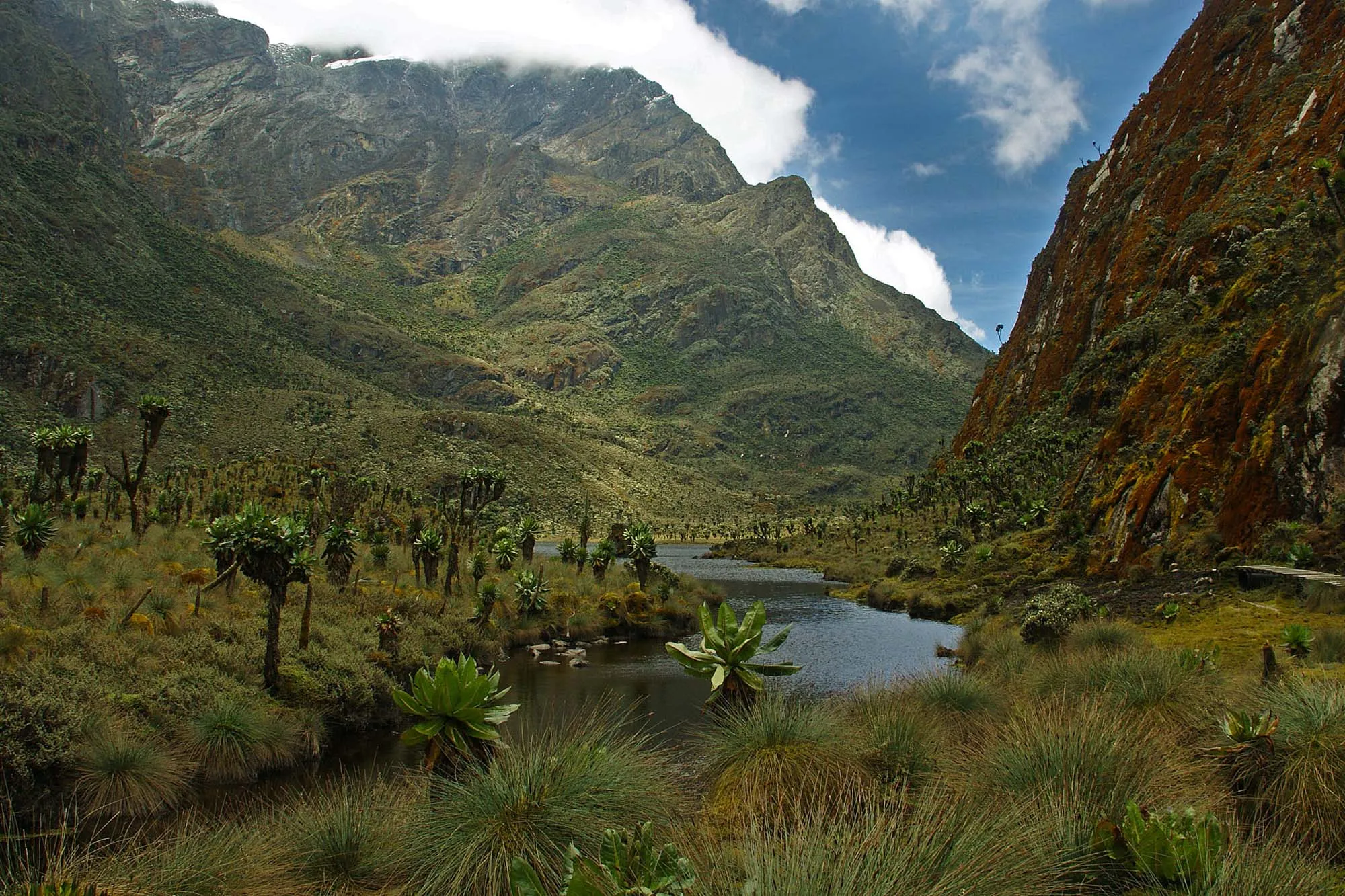 Best Hikes and Trails in Uganda’s Rwenzori Mountains.