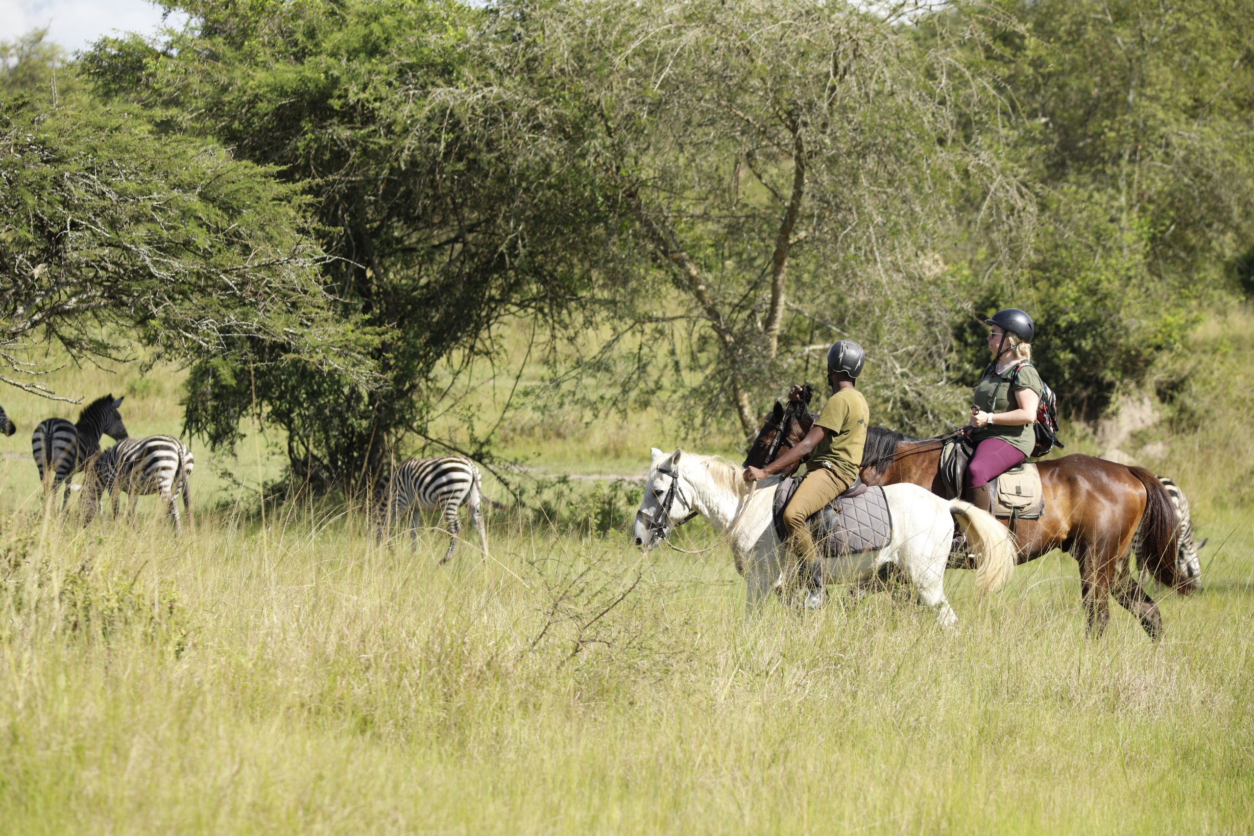 Horseback Safaris in Uganda: A Unique and Thrilling Adventure.