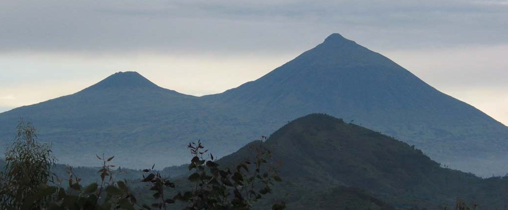 Budget Gorilla Trekking Safaris in Mgahinga National Park.