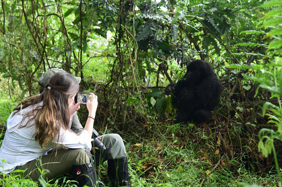Budget Gorilla Trekking Safaris in Mgahinga National Park.